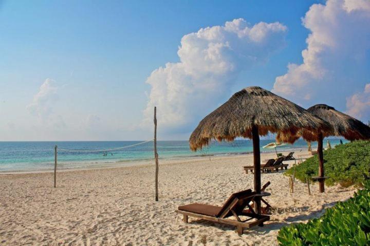 トゥルム Playa Selvaヴィラ エクステリア 写真