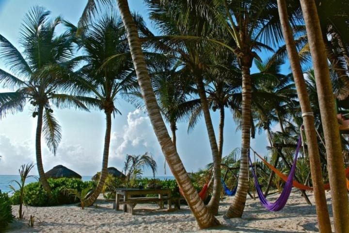 トゥルム Playa Selvaヴィラ エクステリア 写真